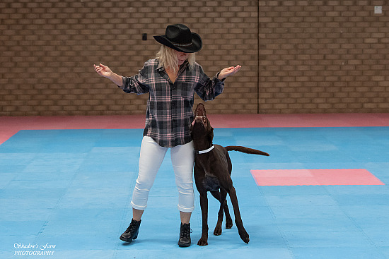 2021 DANCES WITH DOGS/TRICK DOGS STATE CHAMPIONSHIPS