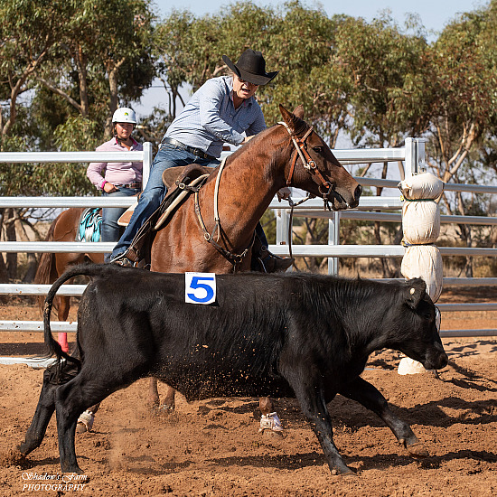 2024 RANCH SORTING 6TH & 7TH APRIL